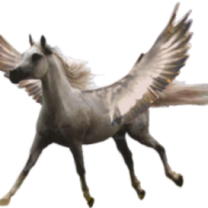 Pegasus PNG