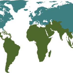 World map PNG