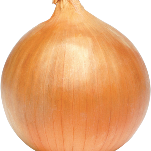 Onion PNG