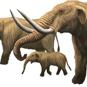 Mammoth PNG