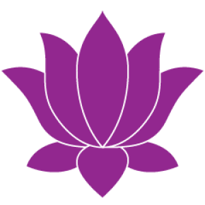 Lotus flower PNG