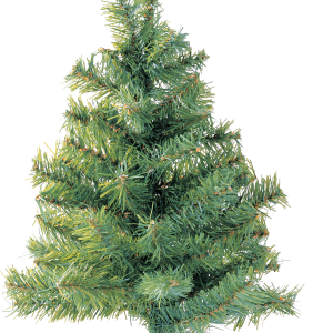 Christmas tree PNG