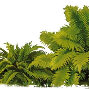 Jungle PNG