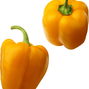 Yellow pepper PNG image