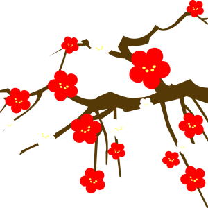 Sakura PNG