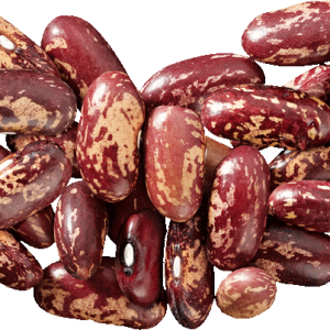 Kidney beans PNG
