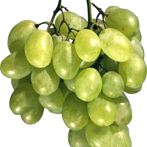 Green grape PNG image