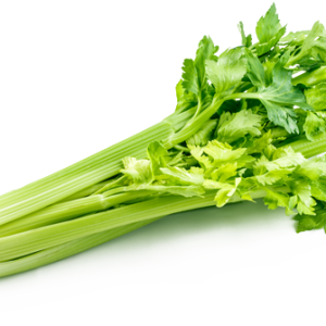 Celery PNG