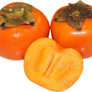 Persimmons PNG image
