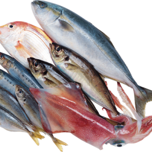 Fish PNG