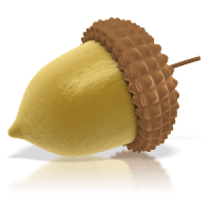 Acorn PNG image