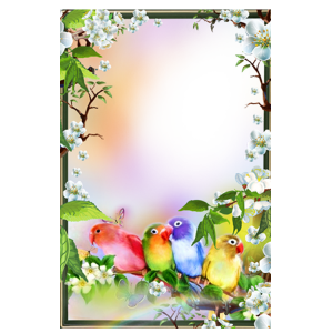 Floral frame PNG
