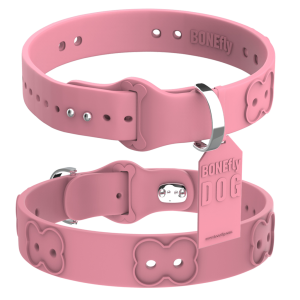 Dog collar PNG