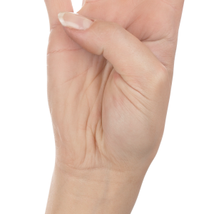 four fingers PNG image