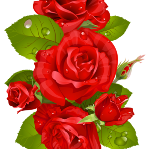 Rose PNG