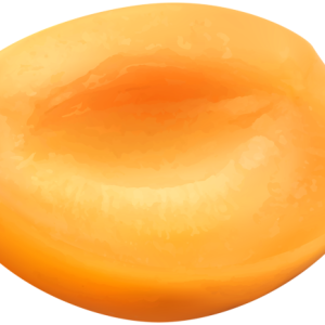 half apricot PNG image