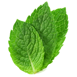 mint PNG