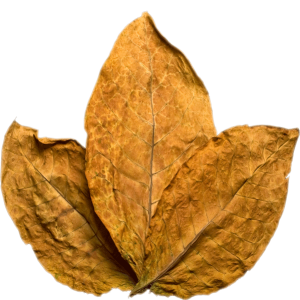Tobacco PNG