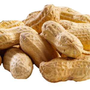 Peanut PNG