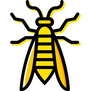 Wasp PNG
