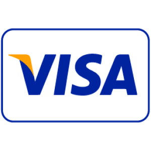 Visa icon PNG