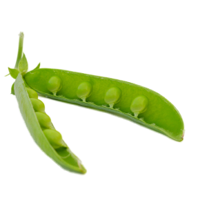 Pea PNG