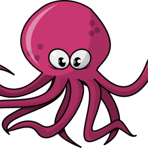 Octopus PNG