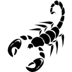 Scorpion tattoo PNG