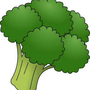 Broccoli PNG