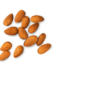Almond PNG