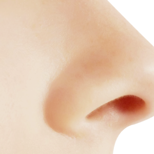 Human nose PNG