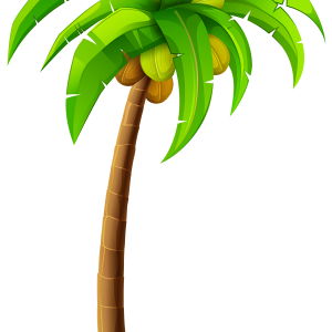 Palm tree PNG