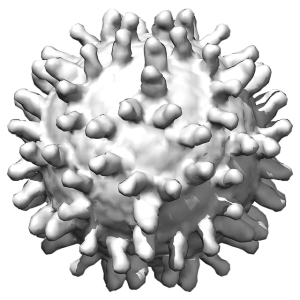 Coronavirus PNG