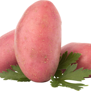 Red potatoes PNG