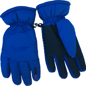 Gloves PNG