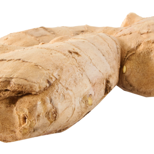Ginger PNG