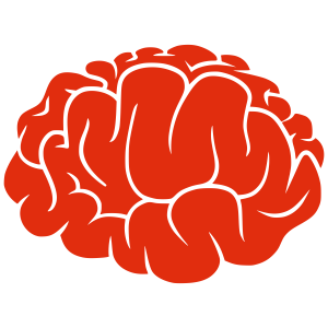 Brain PNG