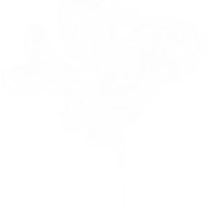 Smoke PNG