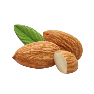 Almonds with leaf PNG
