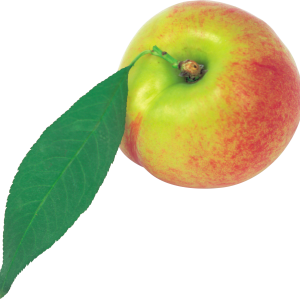 Peach PNG image
