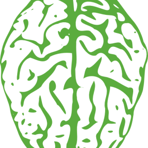 Brain PNG