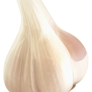 Garlic PNG