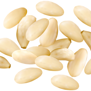 Pine nuts PNG
