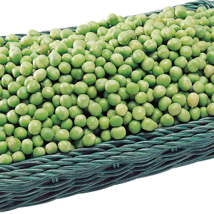 Pea PNG
