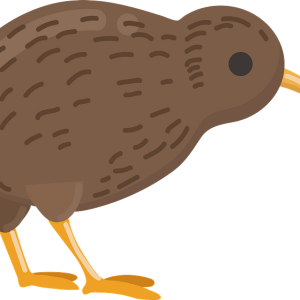 Kiwi bird PNG