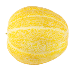Melon PNG