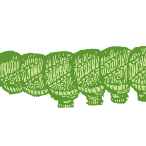 Caterpillar PNG