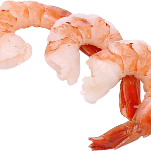 Shrimps PNG