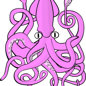 Octopus PNG