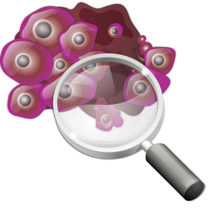 Loupe PNG
